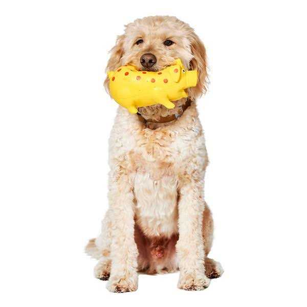 Latex Pig Dog Toy Q994