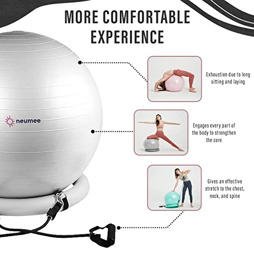 Large Size 65 cm Exercise Ball Chair with Stability Base Q60930