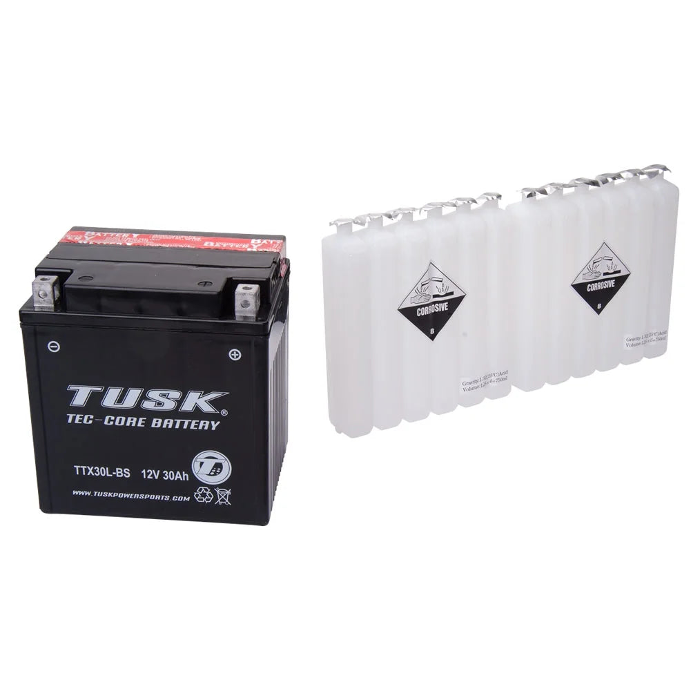 TTX30LBS Maintenance-Free Battery E929125