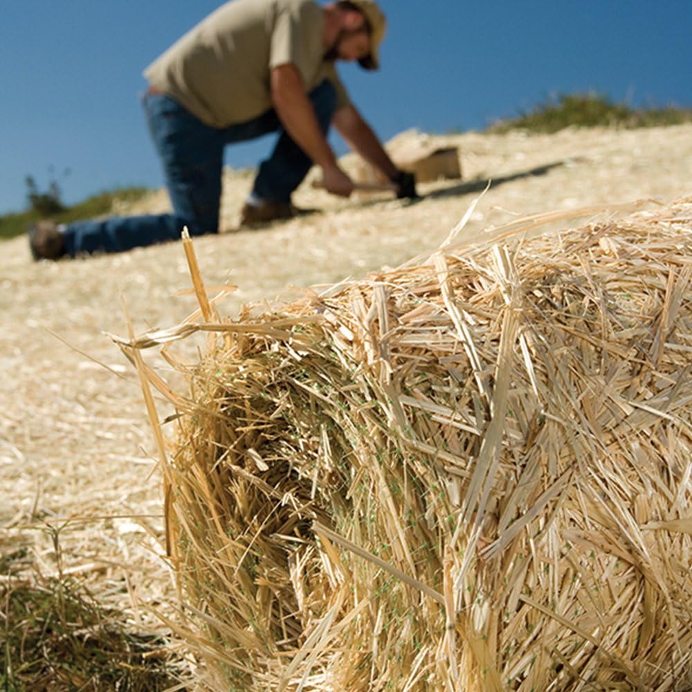 50 ct. 4 Inch Biodegradable Stakes X819243