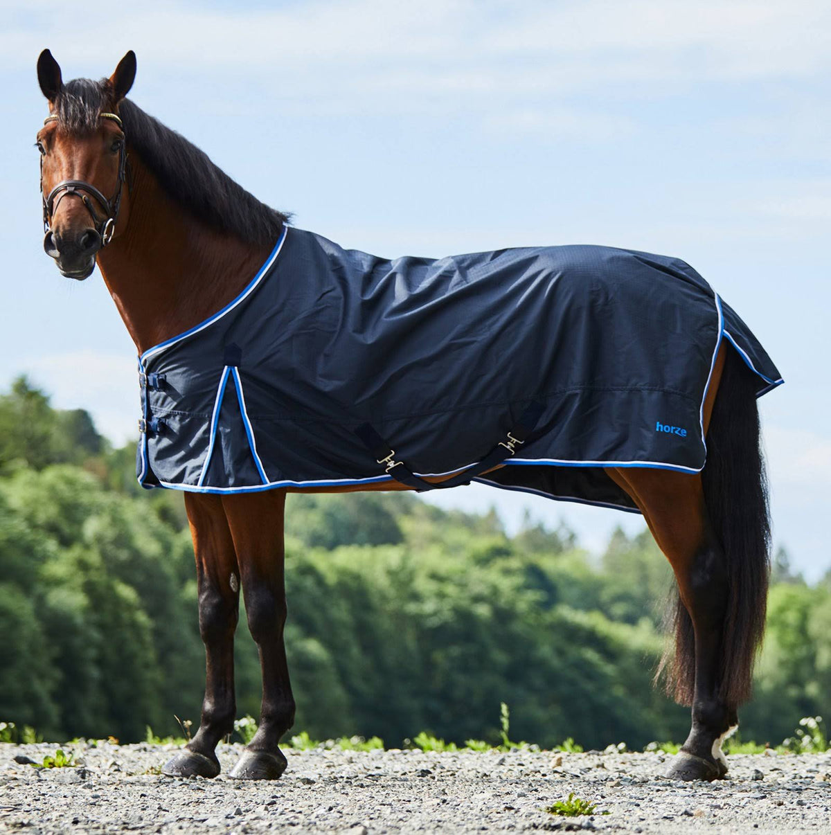 Dark Blue Heavy Weight Turnout Blanket 350g M56466