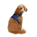 Dog Harness H801412