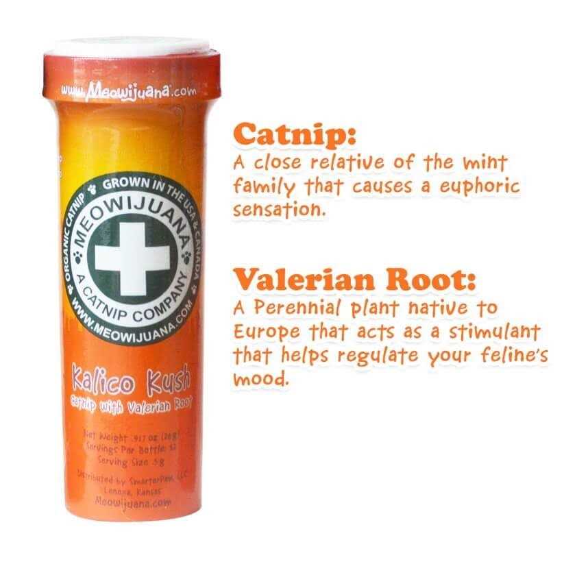 Catnip D121348