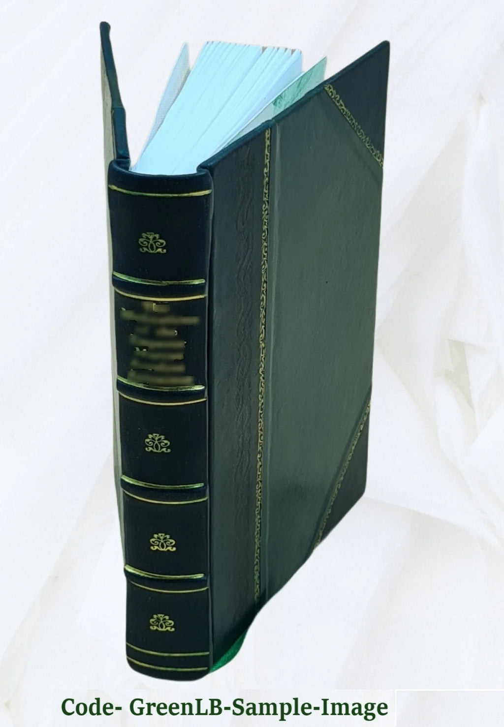 Leather Bound Book N11085