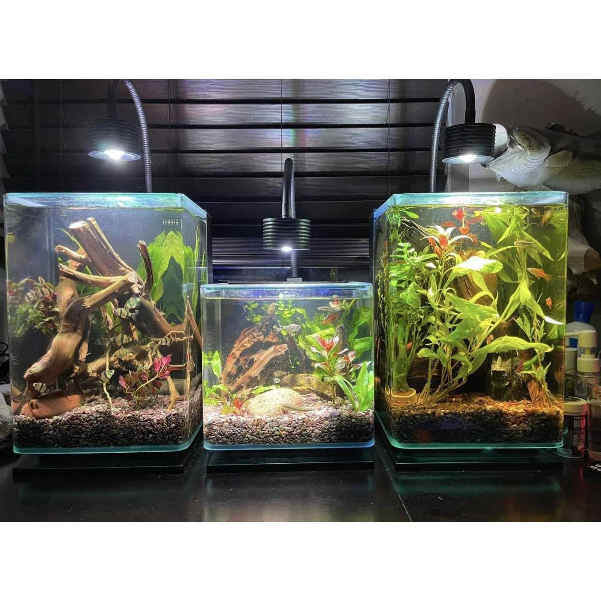 6500k LED Aquarium Light with Gooseneck Y3083