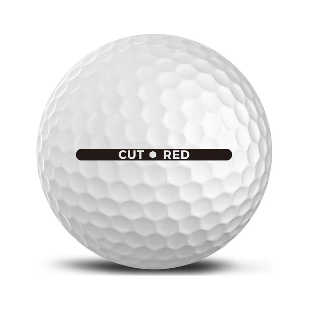 White 2 Piece Ionomer Golf Balls 24 Pack R8234