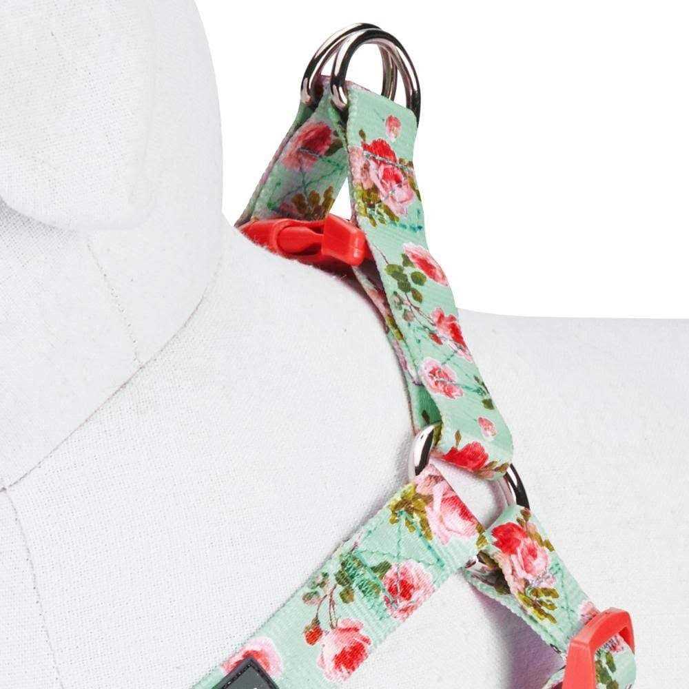 Step Dog Harness P800