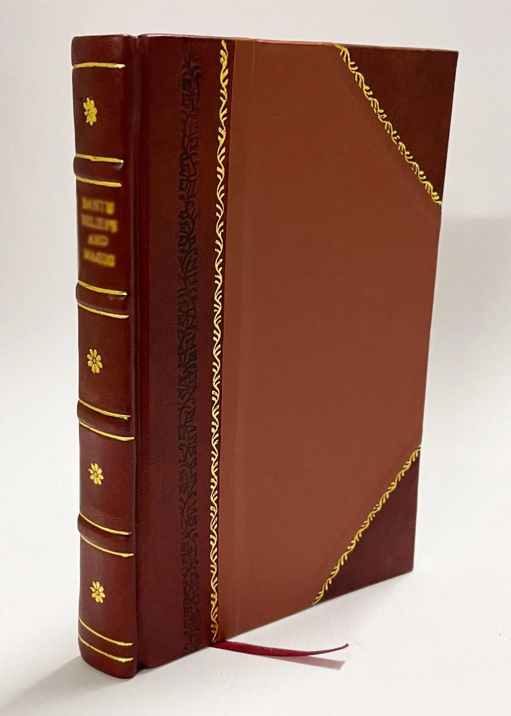 Leather Bound Book V444089