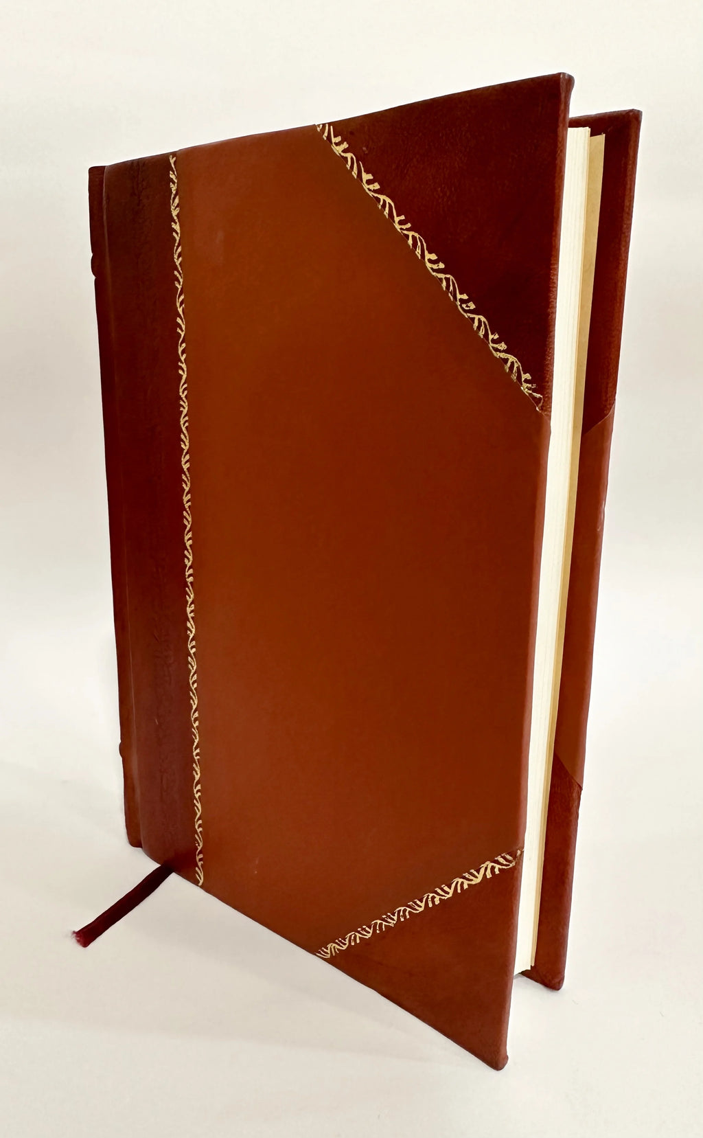 Leather Bound Book V444089