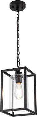 Clear Glass Shade Black Metal Pendant Lighting L1139