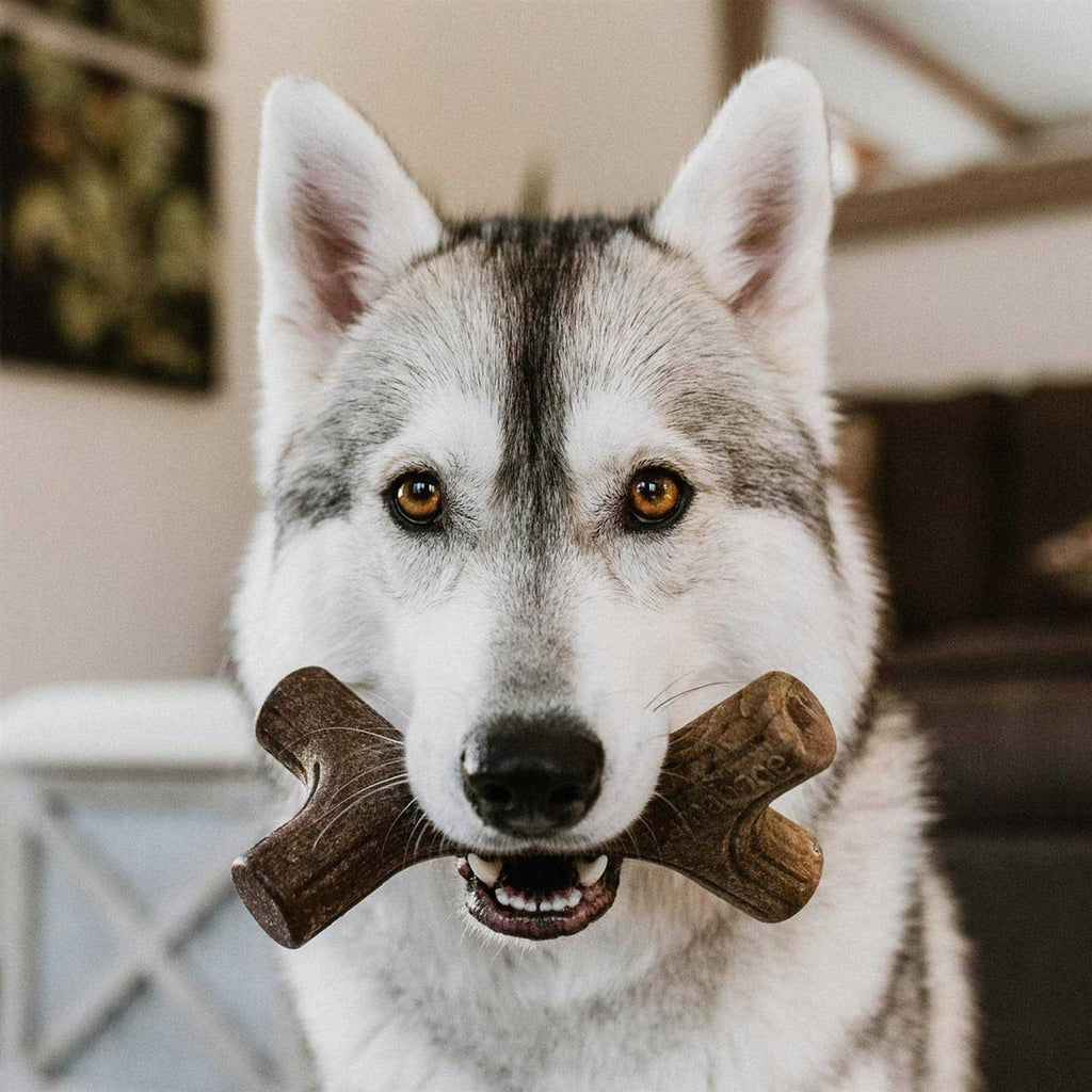 Durable Chew Toys G78176