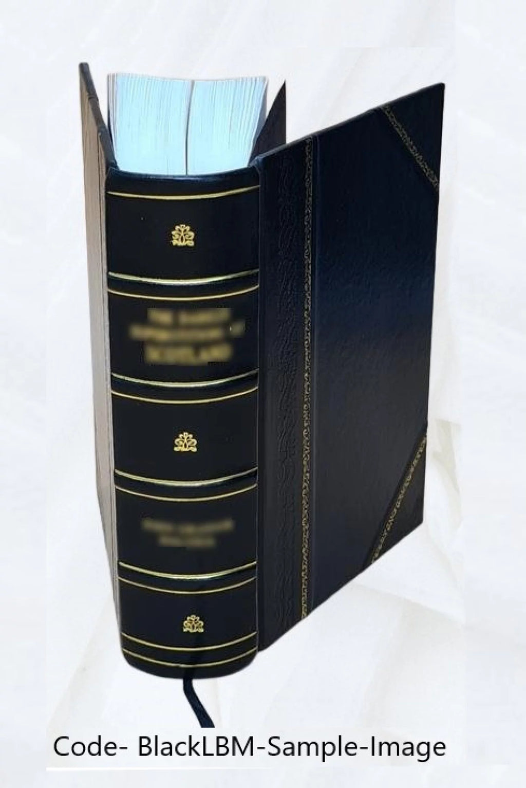 Electric Light and Power Companies Directory Leather Bound E399571