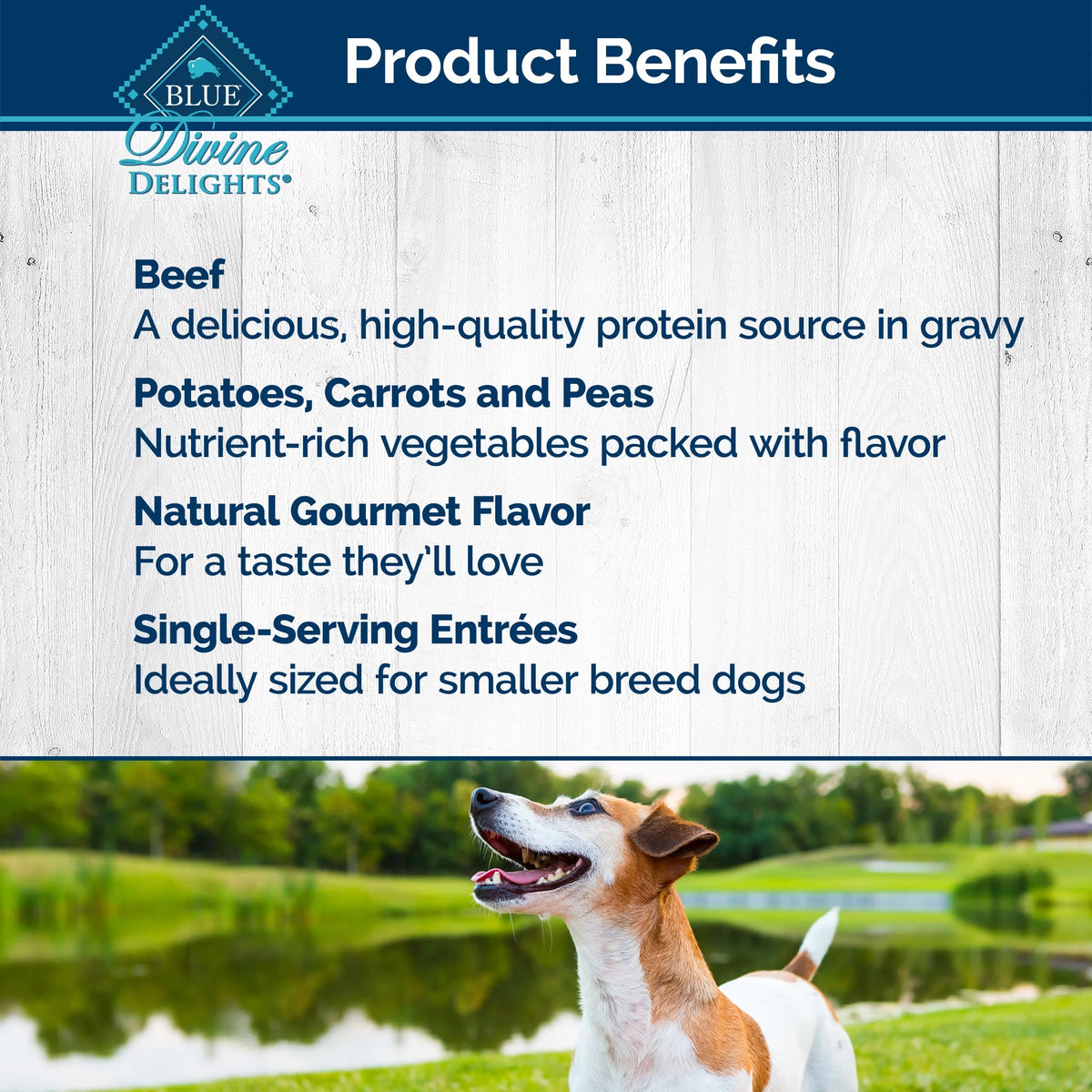 Natural Adult Small Breed Wet Dog Food 3.5-oz (Pack of 12) V9026