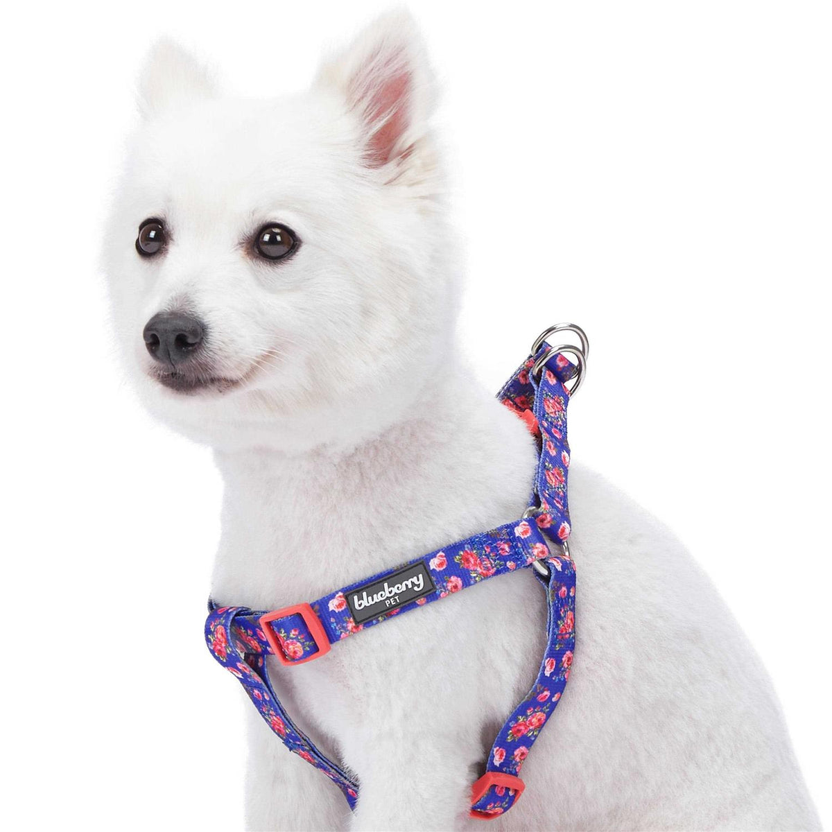 Step Dog Harness P800