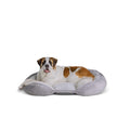 Orthopedic Dog Bed F39519