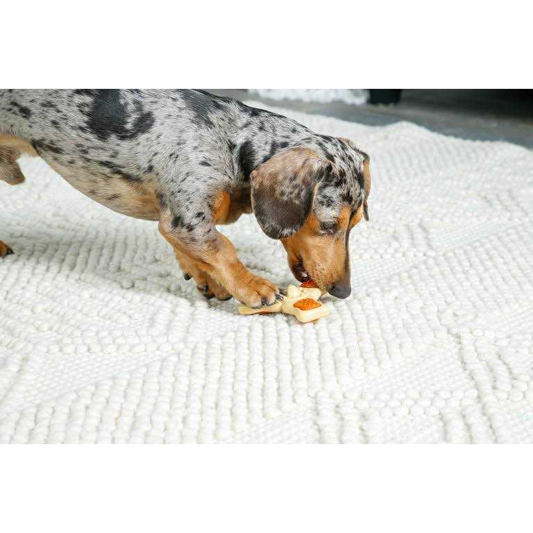 Chew Toy F2360