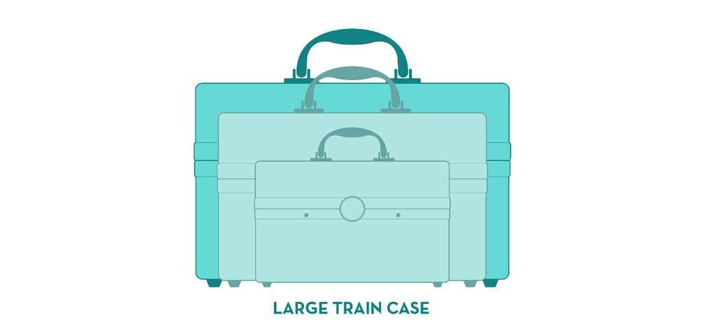 Large Silver Train Case O771557