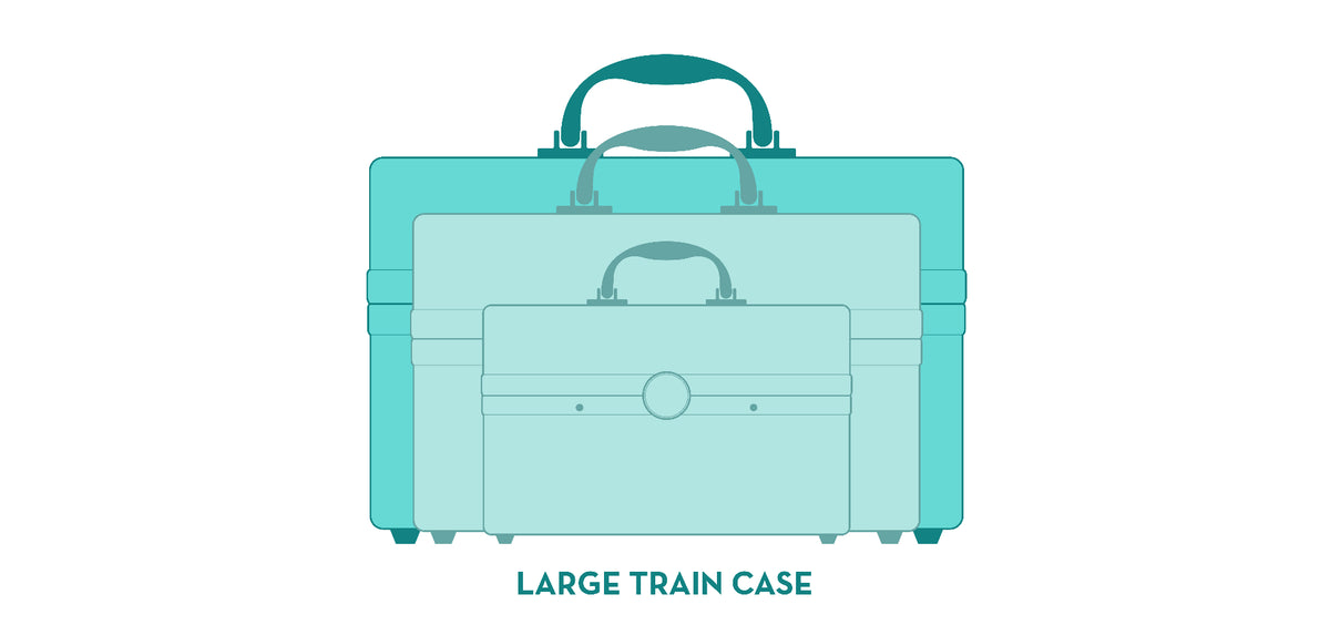 Large Silver Train Case O771557