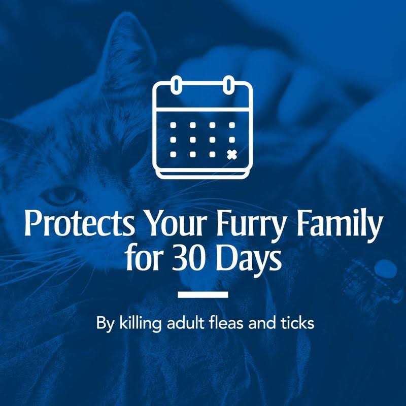 Flea and Tick Treatment for Cats Z3048