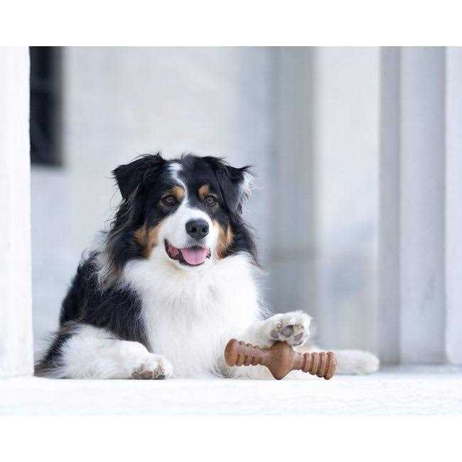 Durable Chew Toys G78176