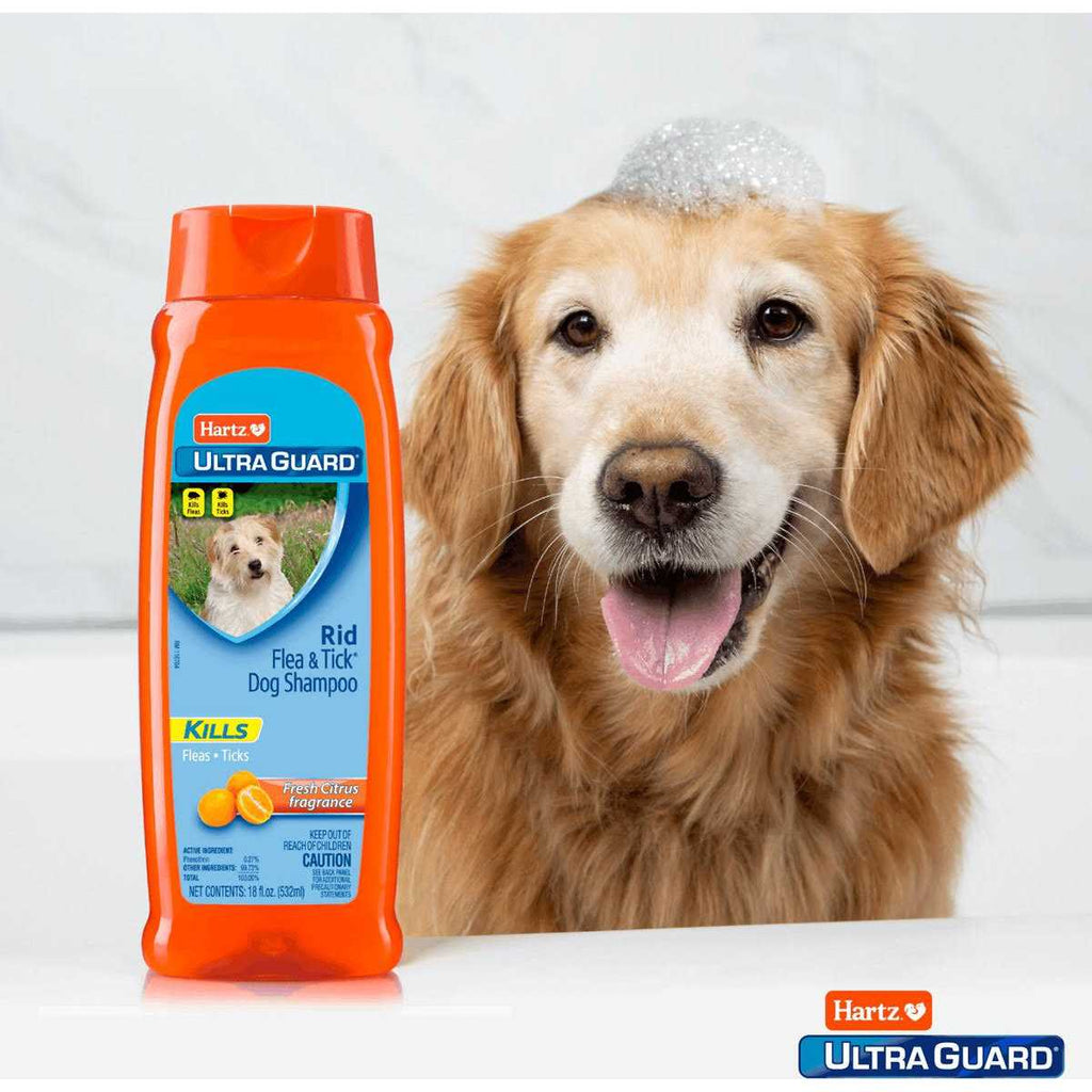 Citrus Flea & Tick Shampoo G975