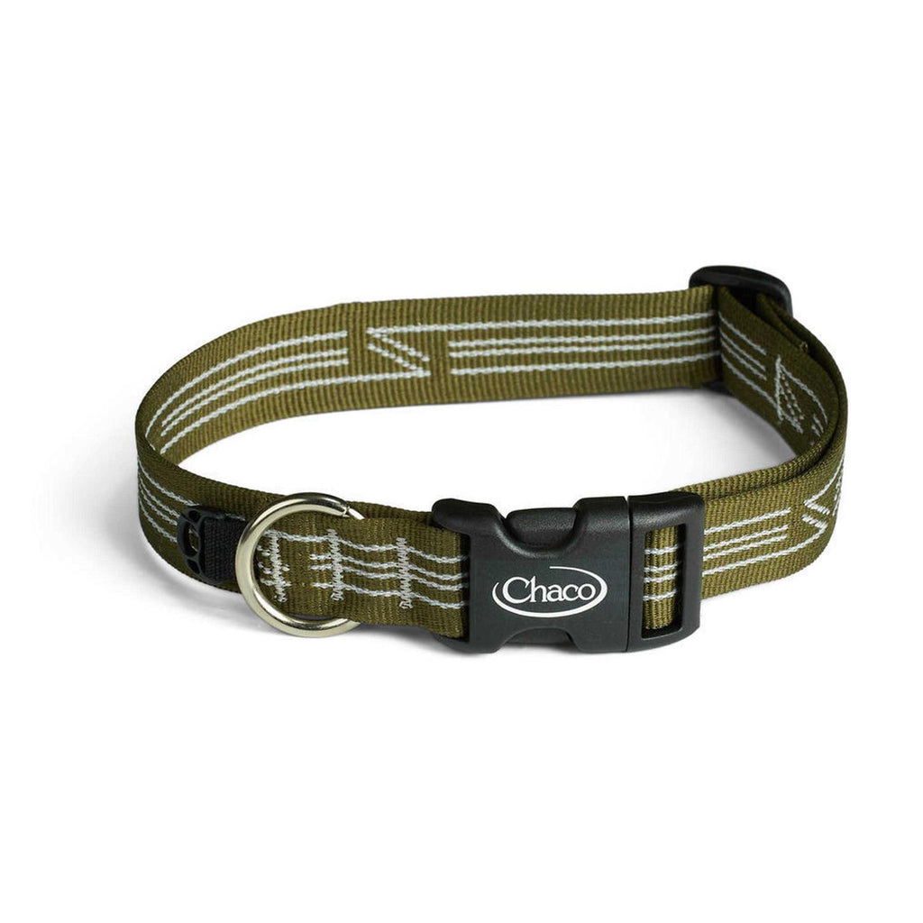 Dog Collar T710