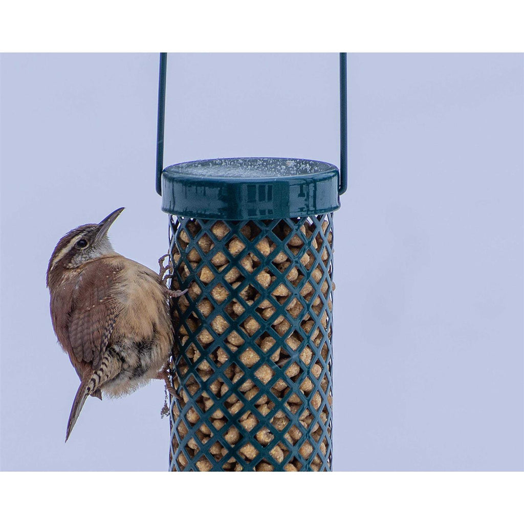 Woodpecker Suet Nuggets No Melt No Waste A79374