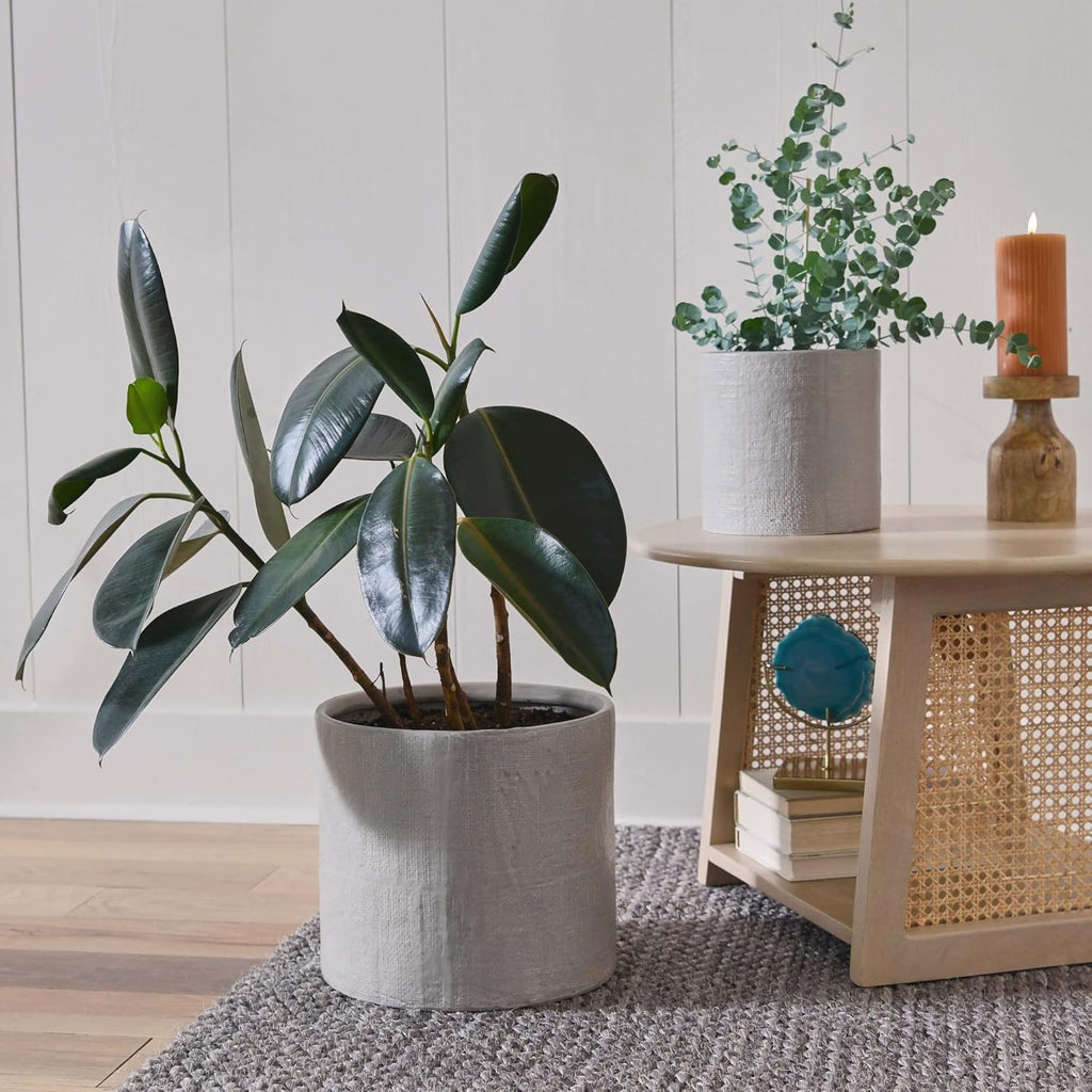Natural Cane and Solid Mango Wood Round Coffee Table W868069