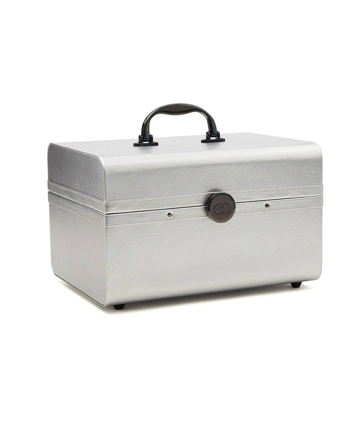 Large Silver Train Case O771557