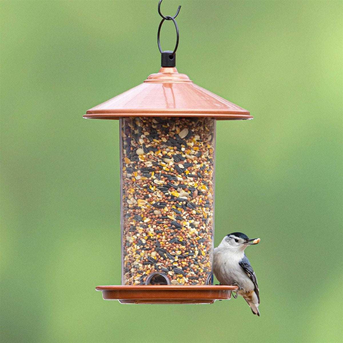 Peanut & Sunflower Wild Bird Feed H5850
