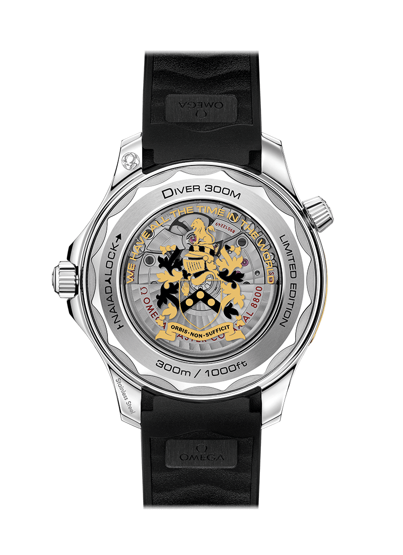 Diver 300m 42mm S219867