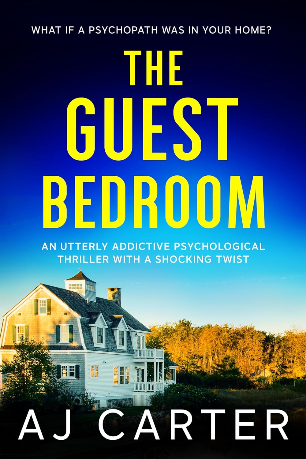 Psychological Thriller T668