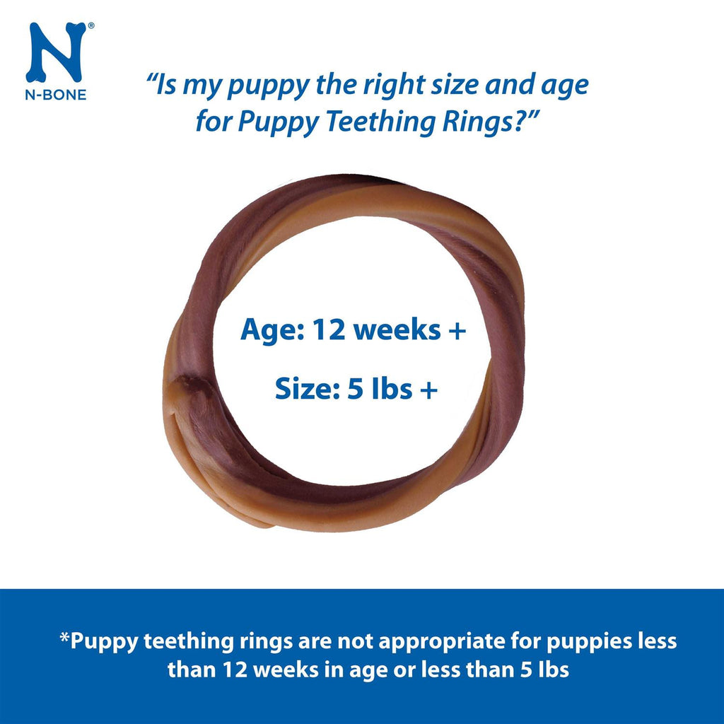 Pumpkin Puppy Teething Ring R1590