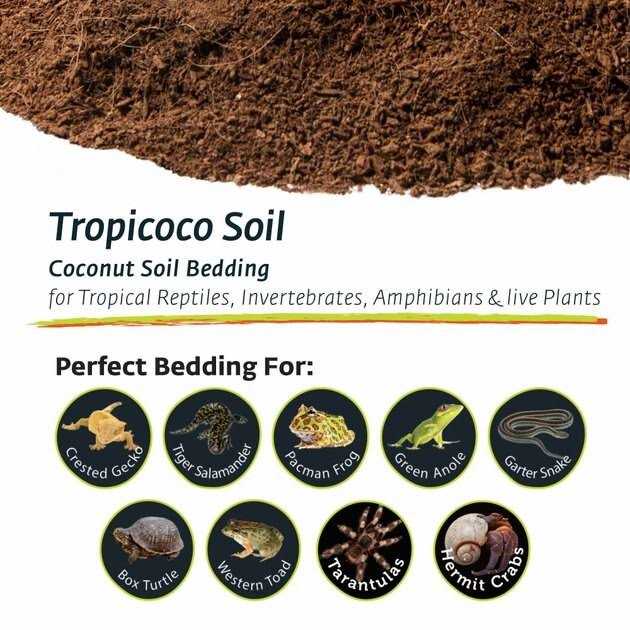 Coconut Soil Invertebrate Bedding M6463