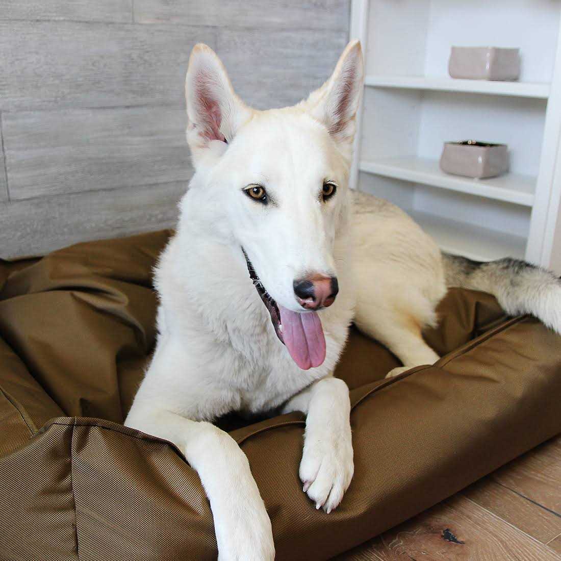 Ballistic Dog Bed H56771