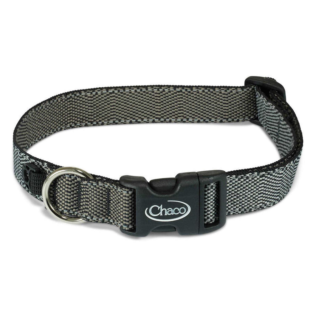 Dog Collar T710