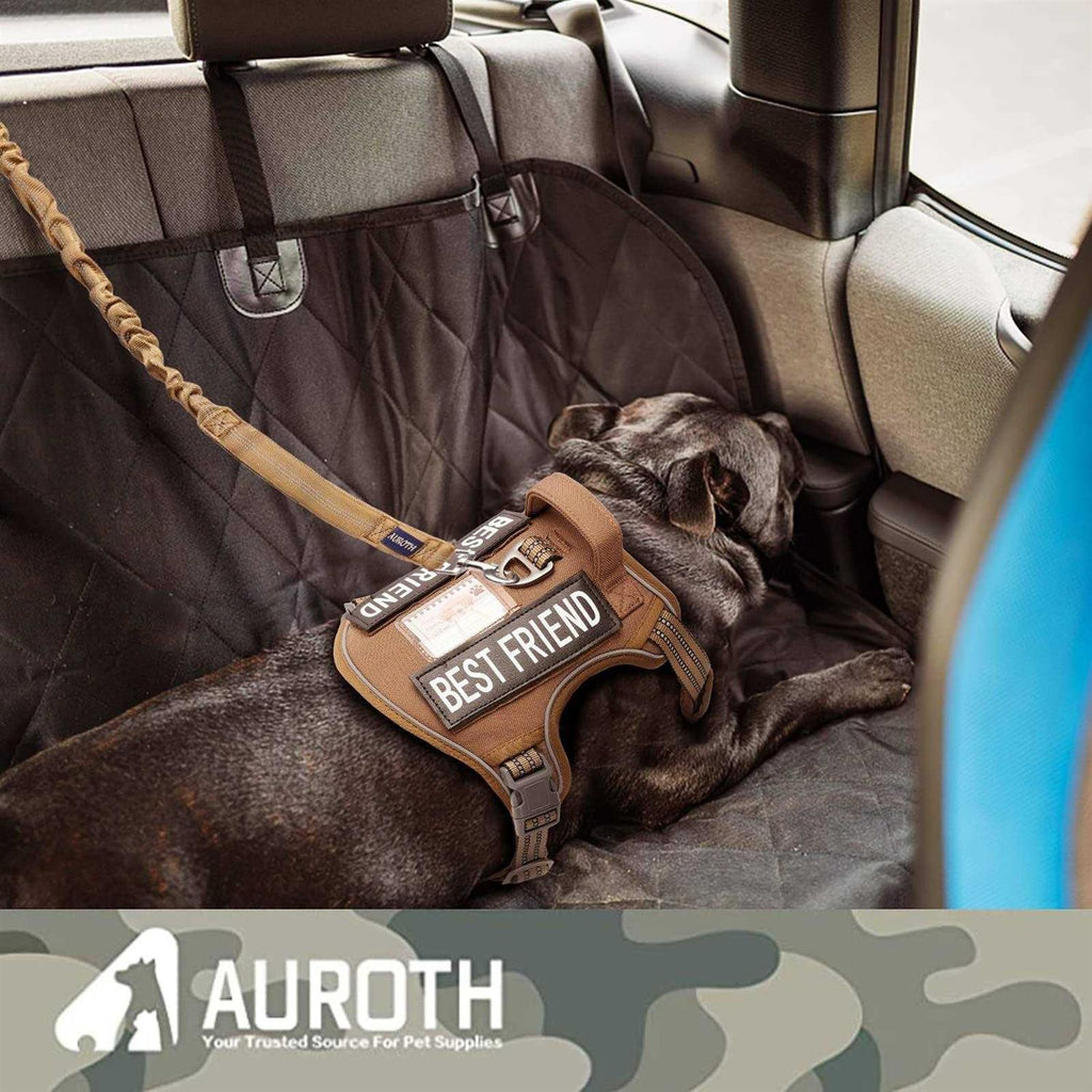 Heavy Duty Bungee Dog Leash O174770