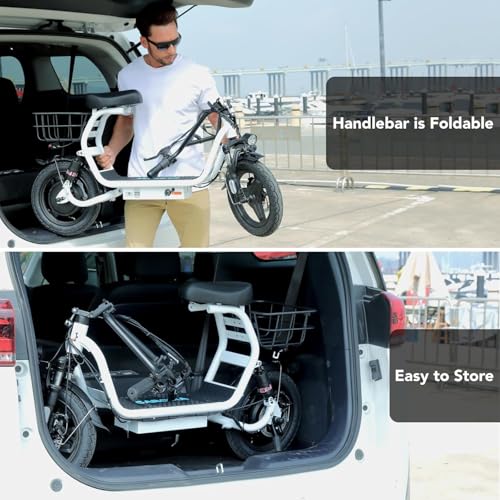 Electric Scooter with Seat, 14" Fat Tire, Foldable X1156