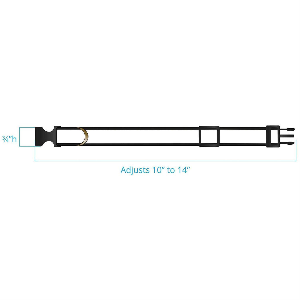 Dog Collar R839770