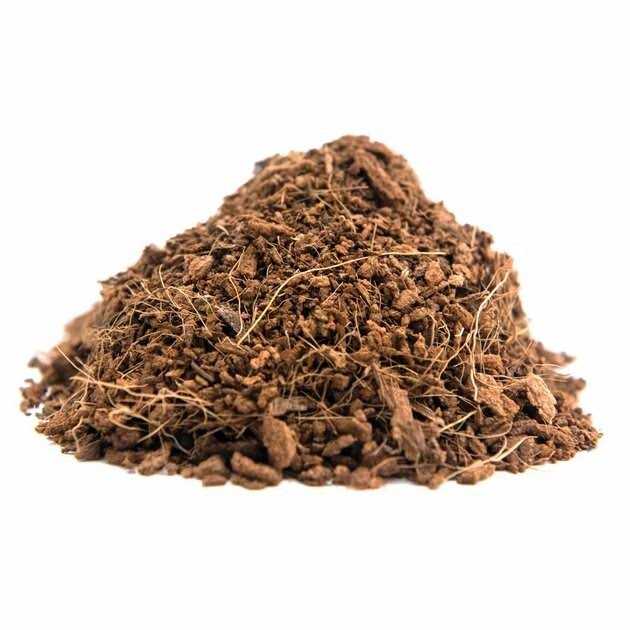 Coconut Soil Invertebrate Bedding M6463