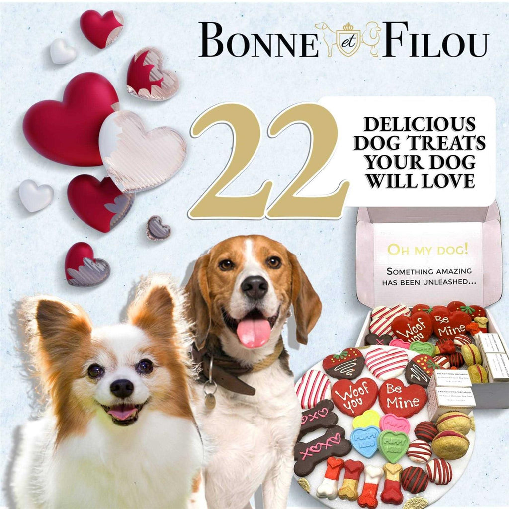 Dog Treats Box J719