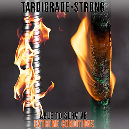 50 FT Stainless Steel Metal Garden Hose Z56869