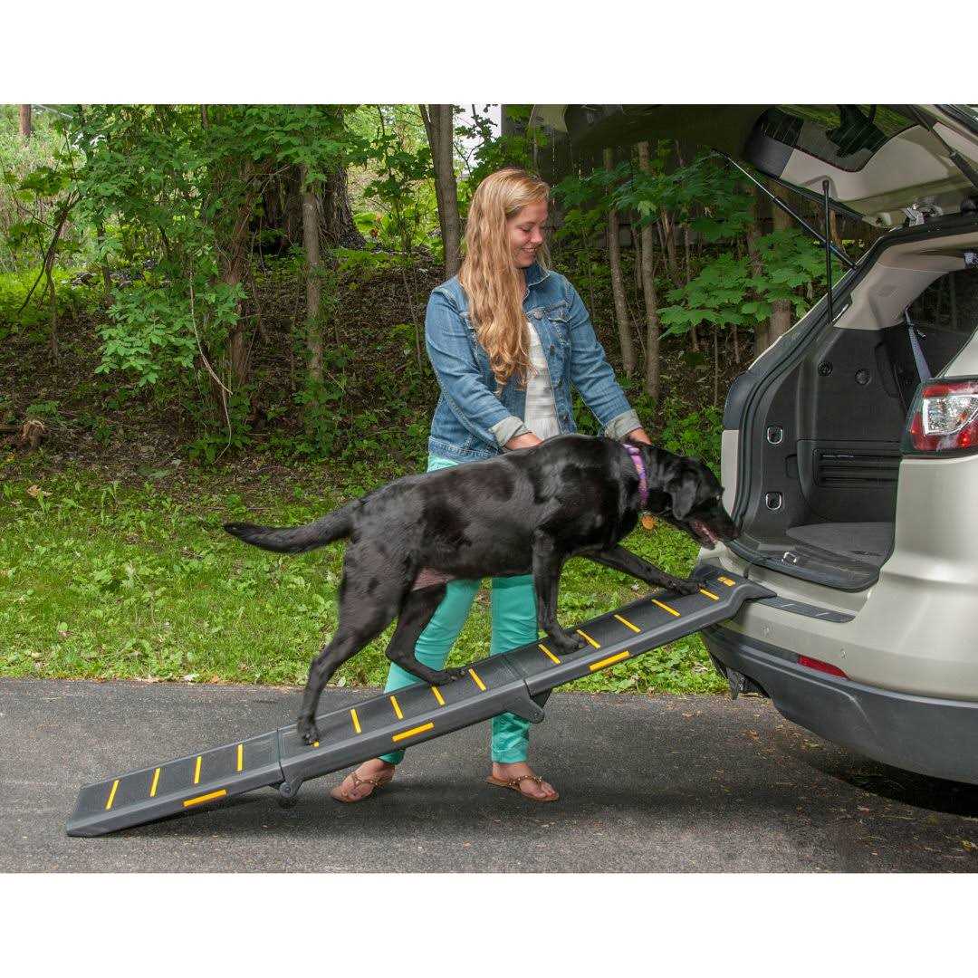 Tri-Fold Ramp Z80660