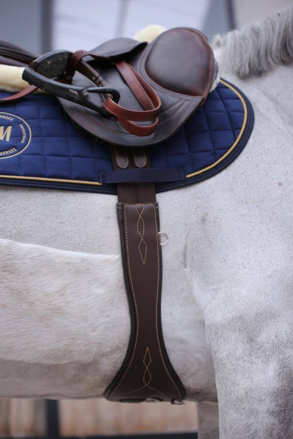 Anatomical Saddle Girth B591