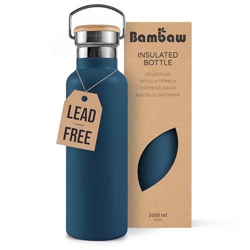32 oz Insulated Stainless Steel Water Bottle V962195