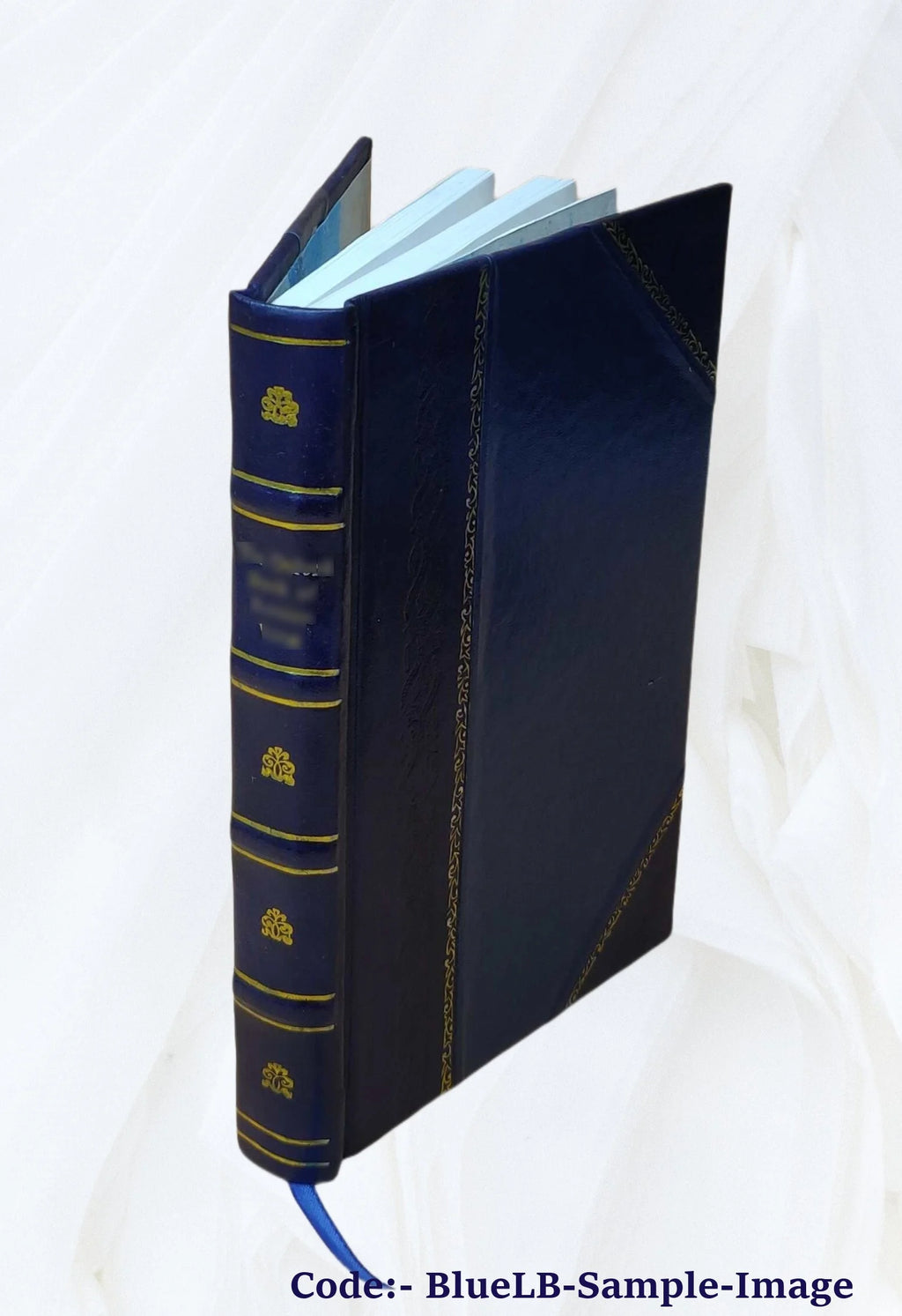 Leather Bound Book N11085