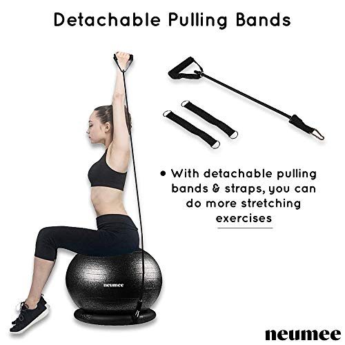 Large Size 65 cm Exercise Ball Chair with Stability Base Q60930