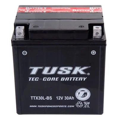 TTX30LBS Maintenance-Free Battery E929125