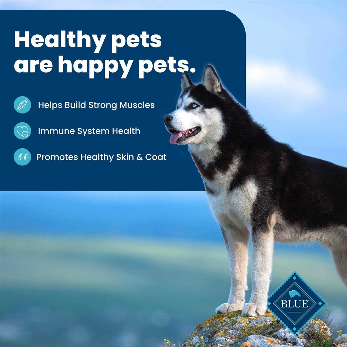 Adult Dry Dog Food D4170
