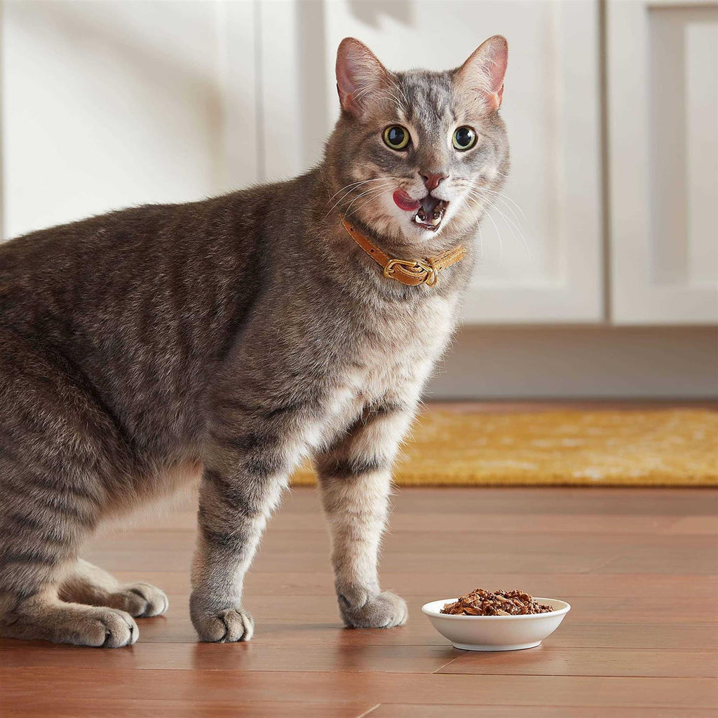 Wet Cat Food V6351